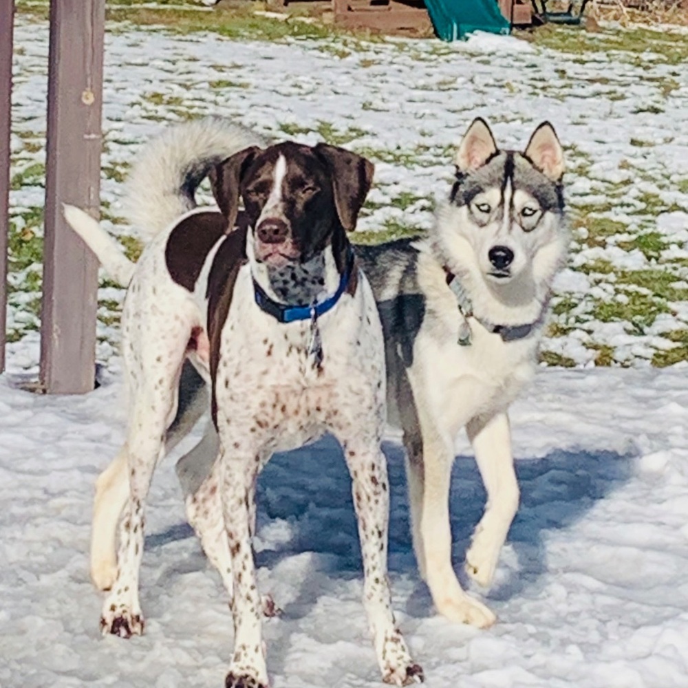 Meet your Posher, Roger